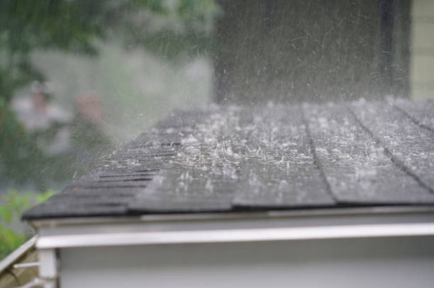 Best Metal Roofing Installation  in Brownlee Park, MI