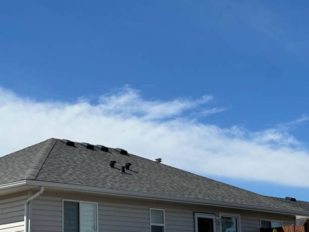 Best Cold Roofs  in Brownlee Park, MI